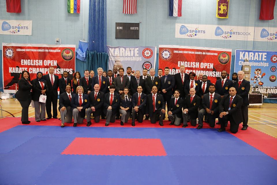 Referees at the UEL in November 2015