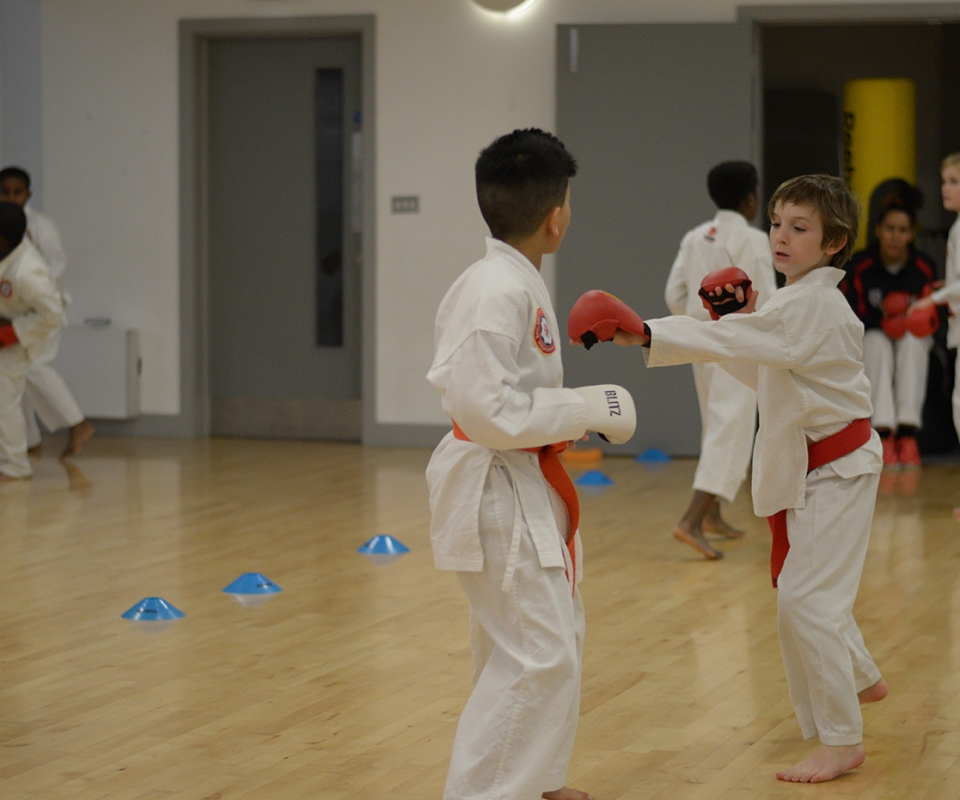 Lower Belts Grading at Wavelengths Dojo