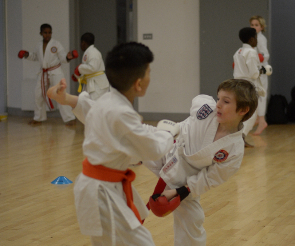 Lower Belts Grading at Wavelengths Dojo