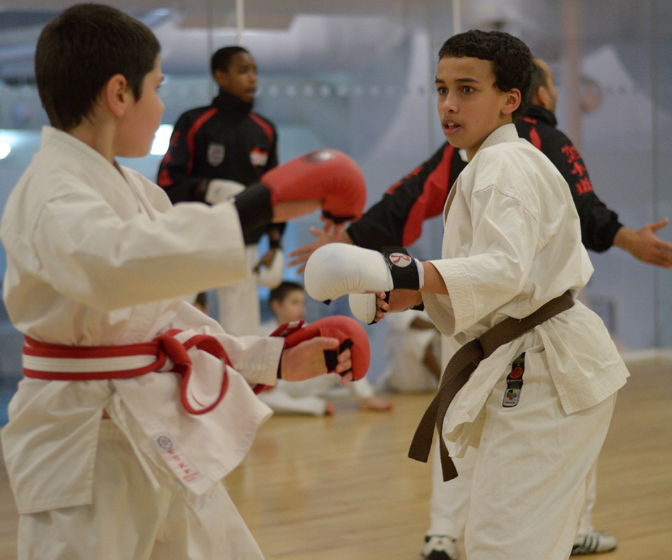 Black Belt Grading at Wavelengths Dojo