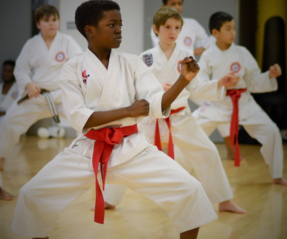 Lower Belts Grading at Wavelengths Dojo